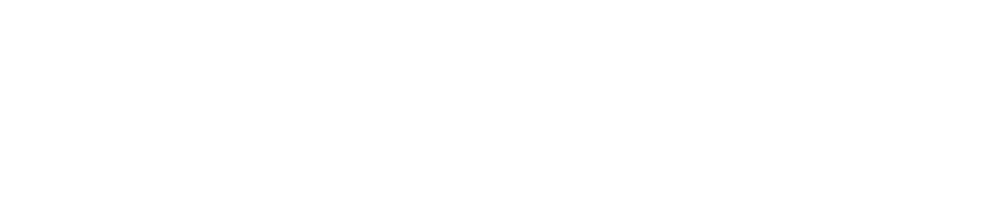 Inclusive Business Partners